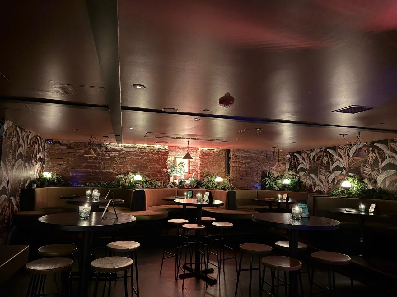 Bar photo 3