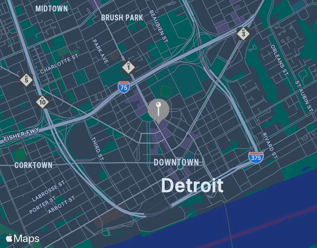 Bleu Detroit photo