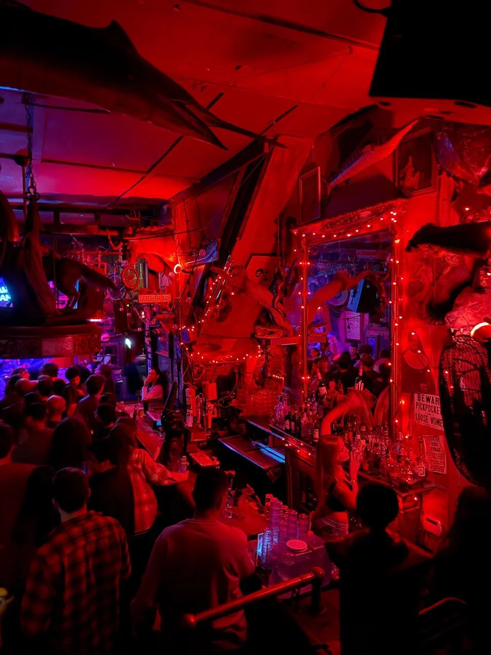 Bar photo 3